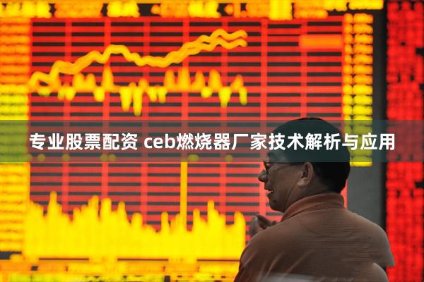 专业股票配资 ceb燃烧器厂家技术解析与应用