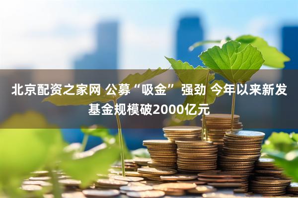 北京配资之家网 公募“吸金” 强劲 今年以来新发基金规模破2000亿元